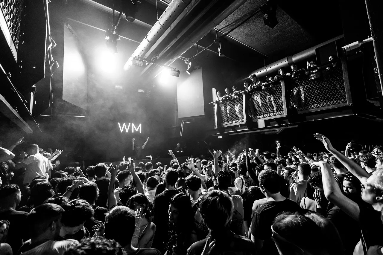 crowd, audience, concert, event, show, performance, black and white, crowd, audience, concert, concert, concert, concert, concert, event, event. Corporate Event Planning License Requirements Checklist